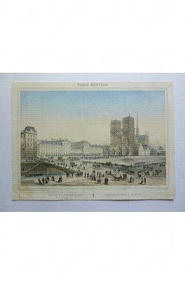 LA CATTEDRALE DI NOTRE-DAME                               